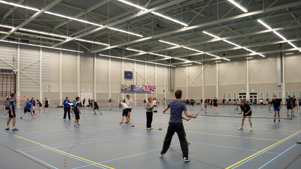 VERSCHILLEN IN DE HOOFDKLASSE WORDEN KLEINER